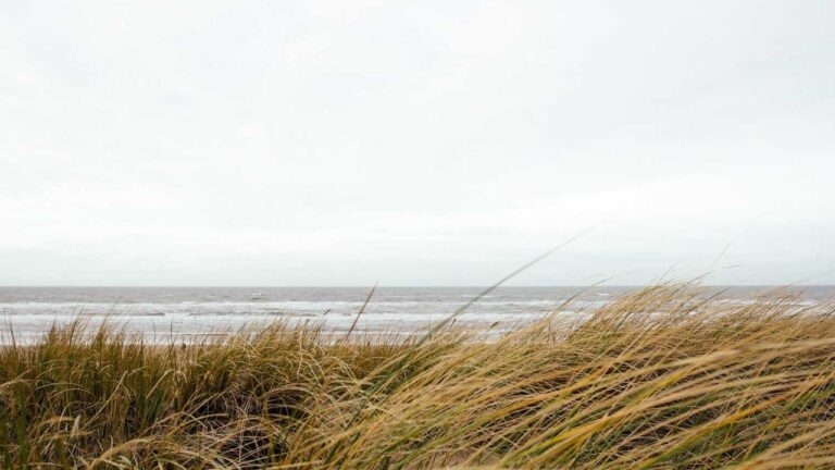 What Happens When You Open Welcome To 11Xplay Online?